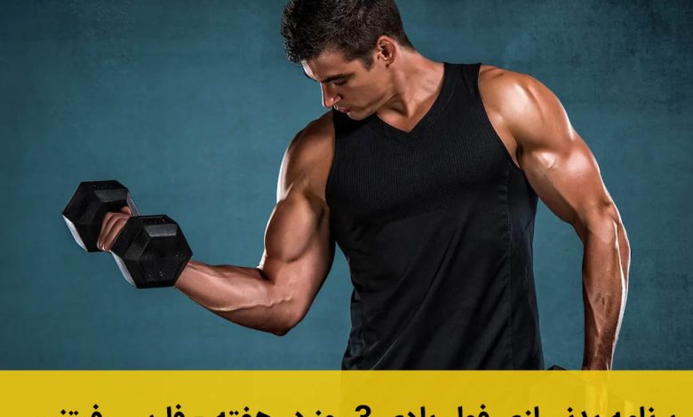برنامه بدنسازی فول بادی 3 روز در هفته