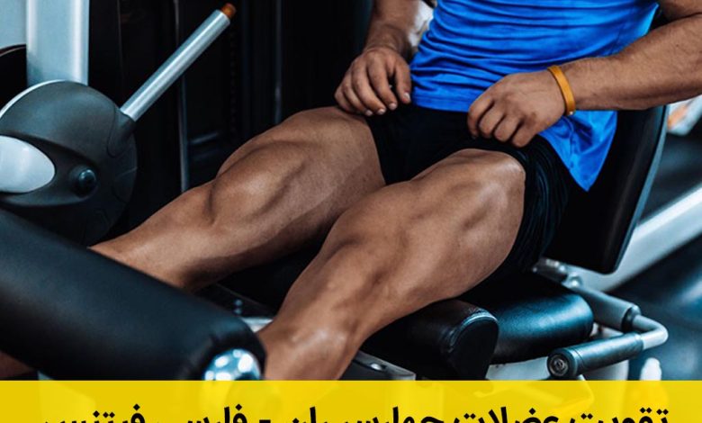 تقویت عضلات چهارسر ران
